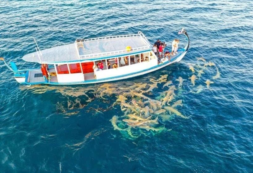 Adaaran Club Rannalhi - ảnh 1