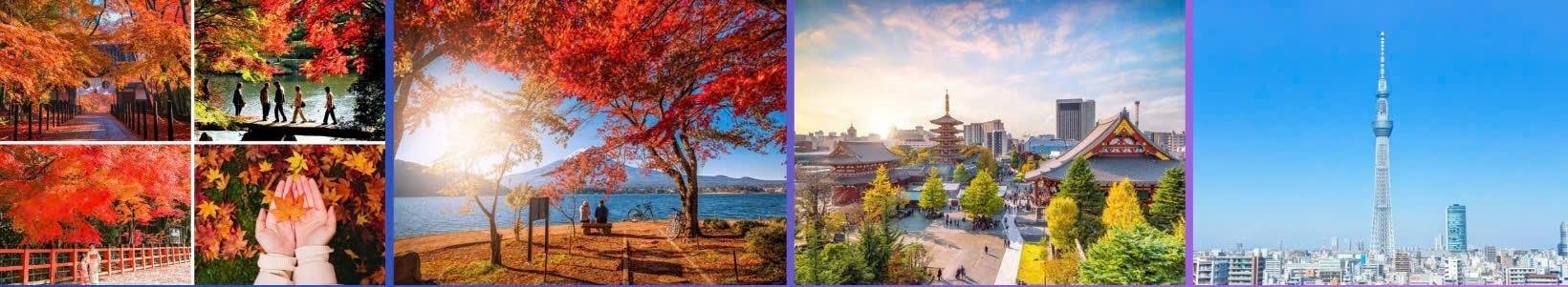 HÀ NỘI - OSAKA- KOBE- KYOTO- NÚI PHÚ SĨ - TOKYO (6N5Đ)