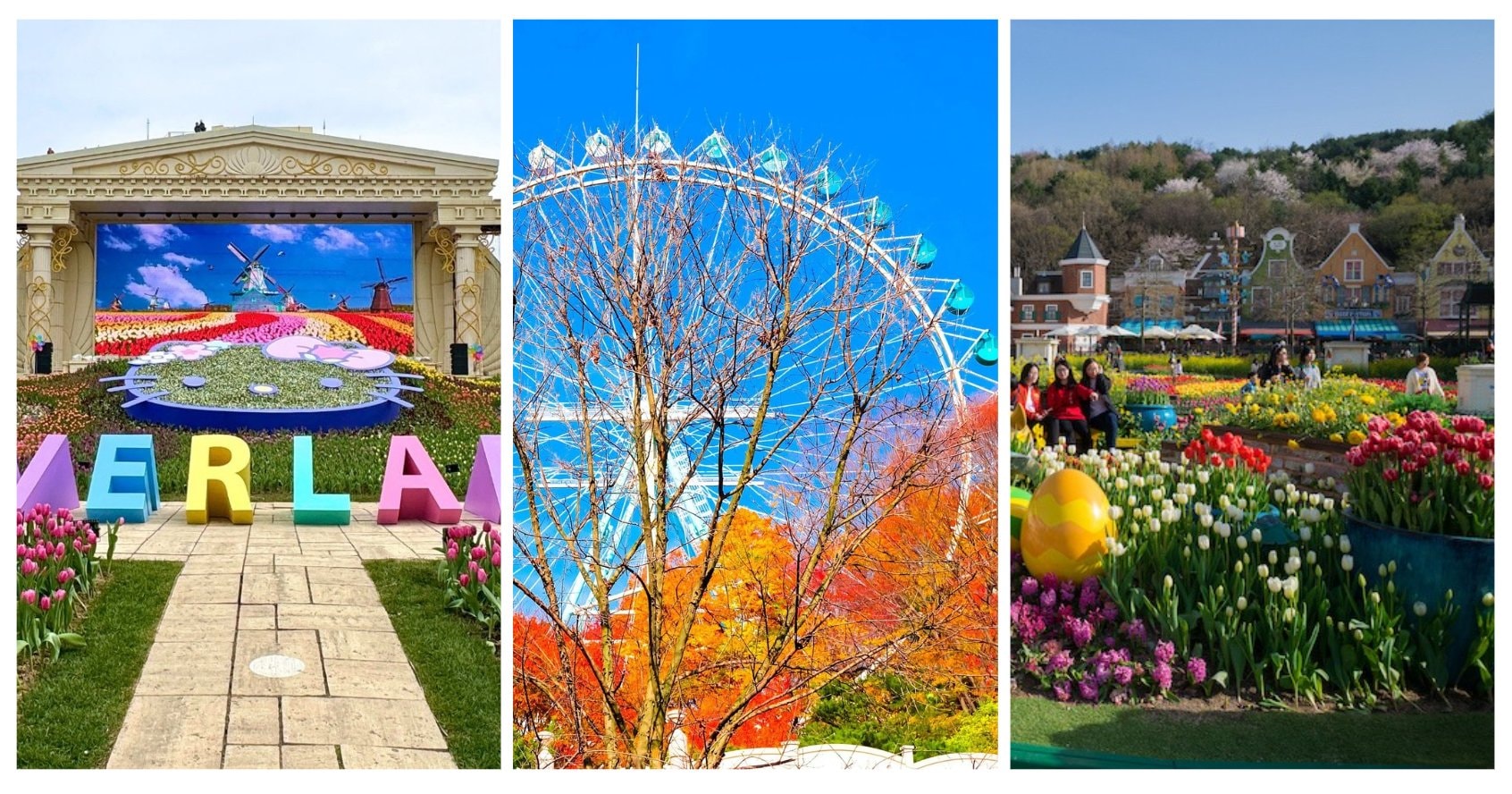   	 SEOUL - NAMI - EVERLAND - HÁI TÁO MÙA THU (Đi sáng về tối)