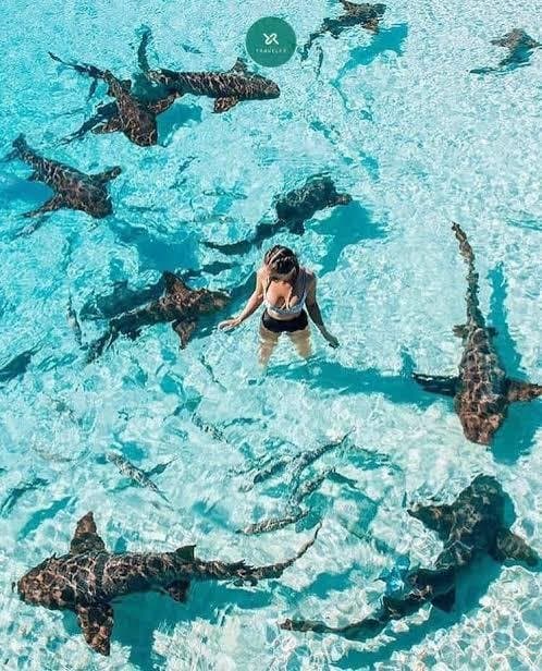Adaaran Select Hudhuranfushi - ảnh 5