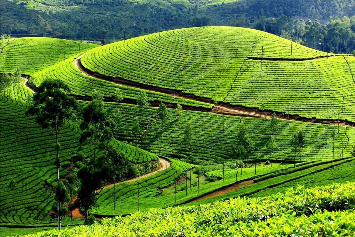 TP.HCM – HÀ NỘI – HẠ LONG – NINH BÌNH TAM CHÚC – MỘC CHÂU – MAI CHÂU