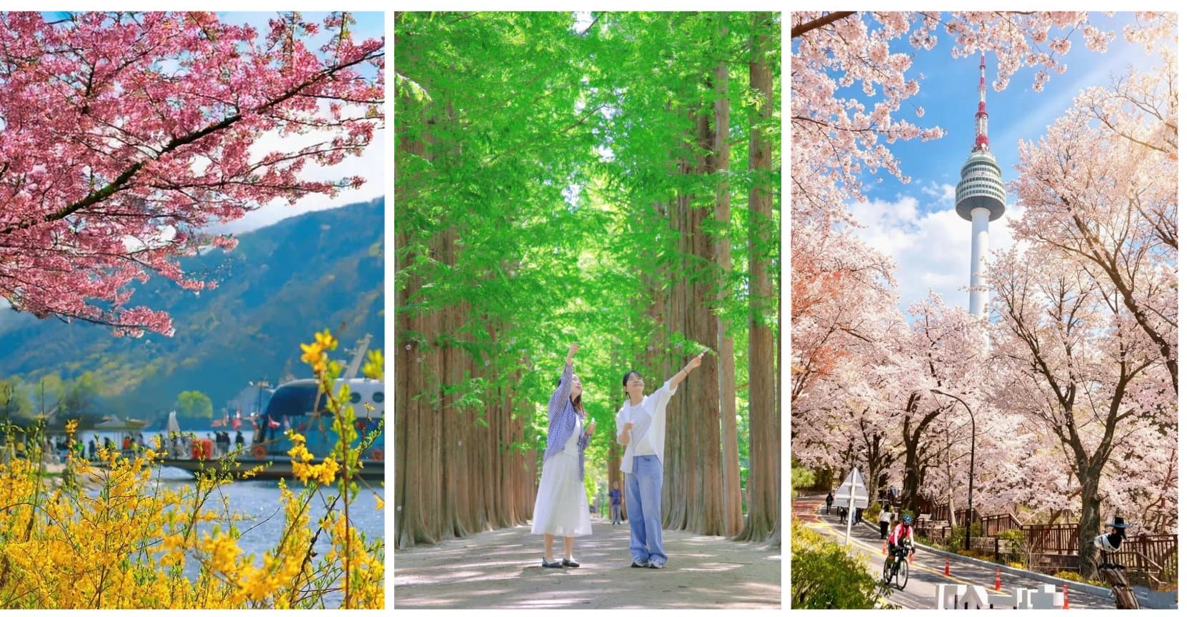 SEOUL - NAMI - EVERLAND - HÁI DÂU MÙA XUÂN (Đi sáng về tối)