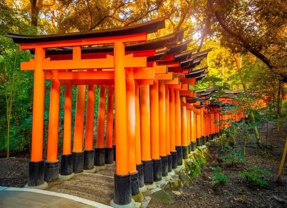 Hà Nội - OSAKA - NARA - KYOTO - FUJI - TOKYO (6N5Đ)
