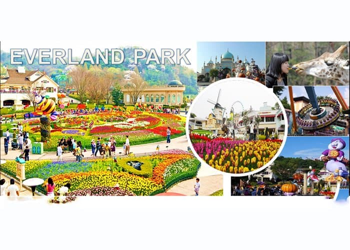 SEOUL – ĐẢO NAMI – EVERLAND (5N4Đ)