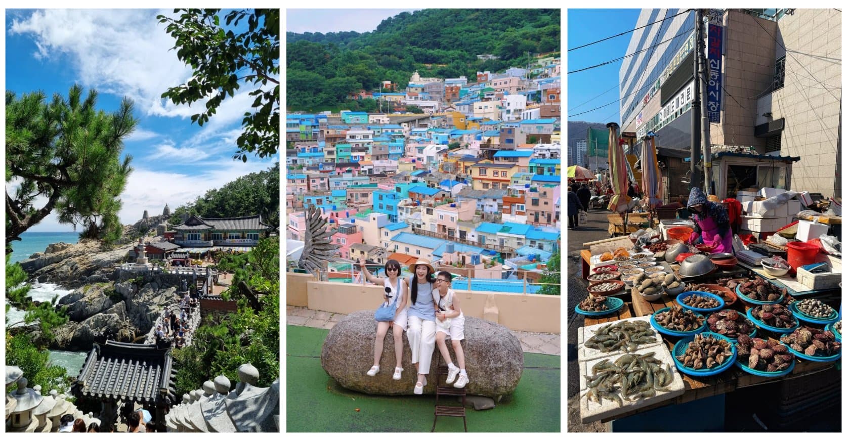 BUSAN - SEOUL - NAMI - CITY TOUR